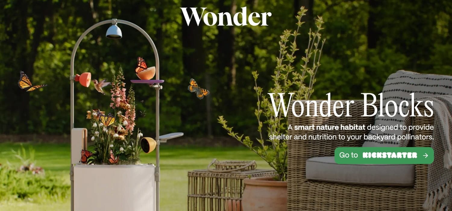 Wonder