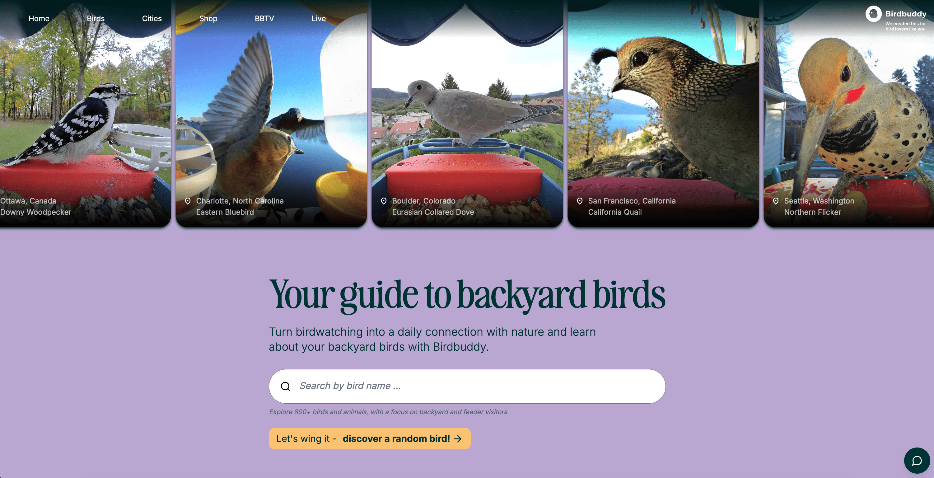 Birdbuddy WIKI